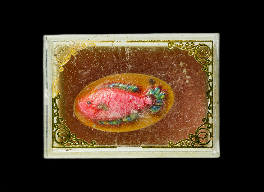 2568-08-12 Box14 (154)dp.jpg - ปลามหมอหาลาภ เรียกทรัพย์ หลวงพ่อคูณ วัดบ้านไร่ ปี2537 หลังฝังตะกรุดเงิน จารยันต์รอบ พุทธคุณ ผงว่าน เมตตมหานิยม โชคลาภ ค้าขายดี#2 | https://kamulet.in.th